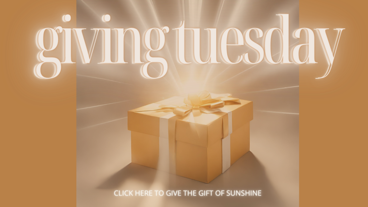 giving tuesday.png